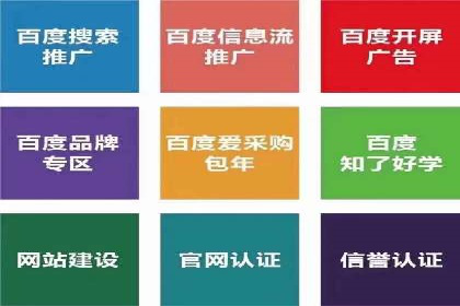 SEM广告投放的精准定位与优化案例